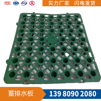 绿色蓄排水板