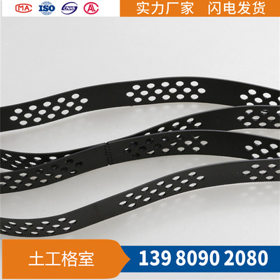 TGLG蜂巢土工格室