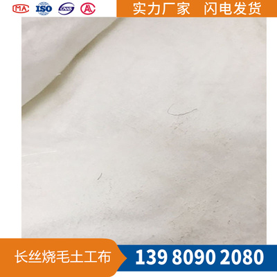 聚酯长丝烧毛土工布