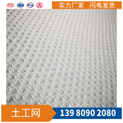 虹吸排水网复合排水网格复合土工网