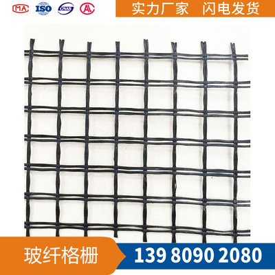 双经双纬涤纶土工格栅