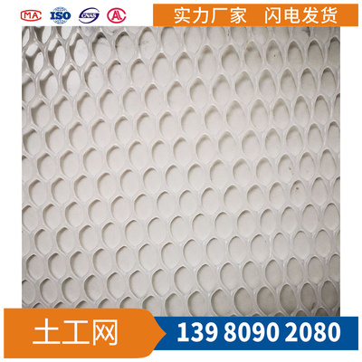 塑料平面土工网