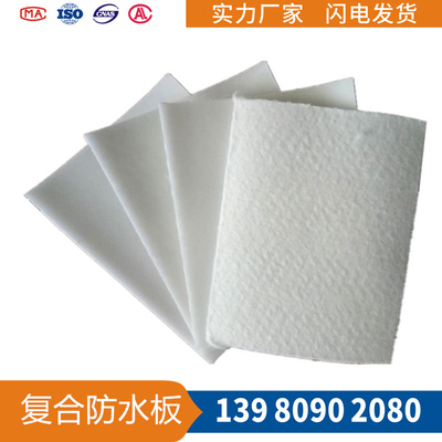 吊带隧道防水板 HDPE防水板