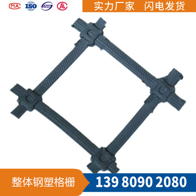 整体式钢塑格栅