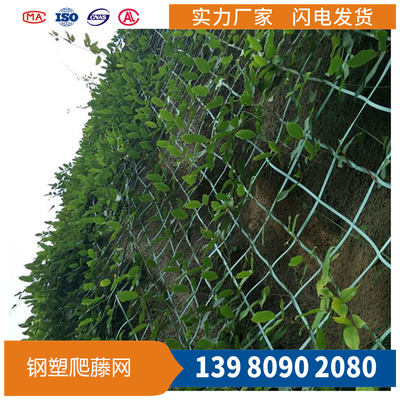 邊坡綠化爬藤網生態工程 