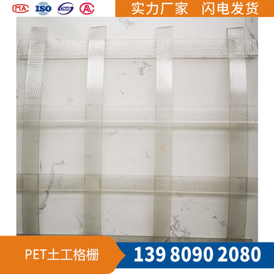 PET聚酯土工格柵（鐵標(biāo)）