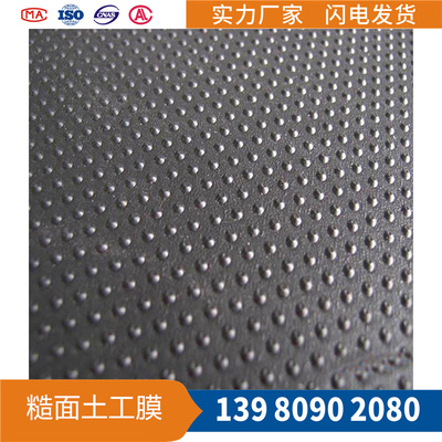 糙面防滲土工膜