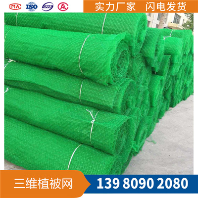 三維植被固土網