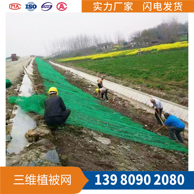 防塵蓋土網 遮陽網