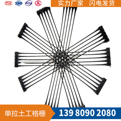 PE單向拉伸格柵